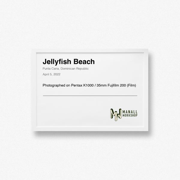 JELLYFISH BEACH